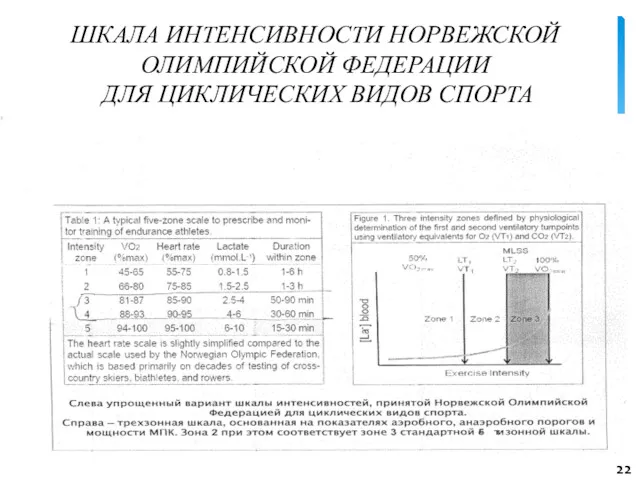 ШКАЛА ИНТЕНСИВНОСТИ НОРВЕЖСКОЙ ОЛИМПИЙСКОЙ ФЕДЕРАЦИИ ДЛЯ ЦИКЛИЧЕСКИХ ВИДОВ СПОРТА 22