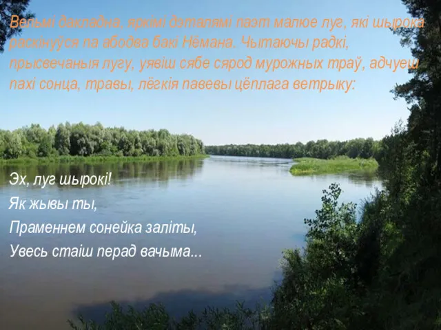 Вельмі дакладна, яркімі дэталямі паэт малюе луг, які шырока раскінуўся