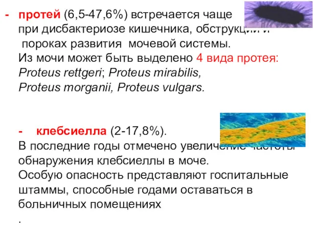 протей (6,5-47,6%) встречается чаще при дисбактериозе кишечника, обструкции и пороках