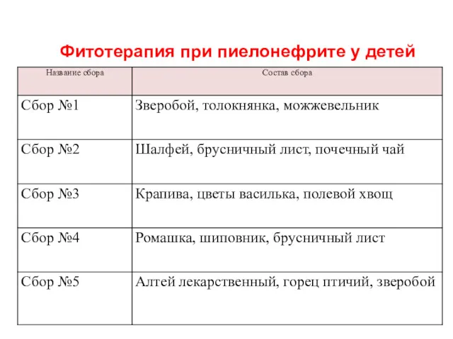 Фитотерапия при пиелонефрите у детей