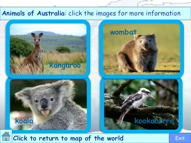 kangaroo wombat koala kookaburra Animals of Australia: click the images for more information