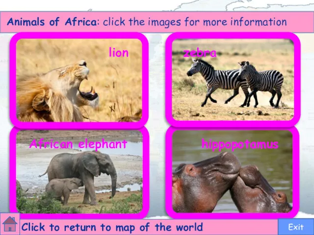 Animals of Africa: click the images for more information lion zebra African elephant