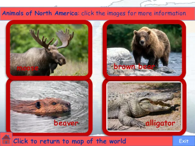 moose brown bear beaver alligator Animals of North America: click the images for