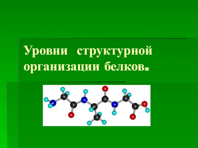 Уровни структурной организации белков.