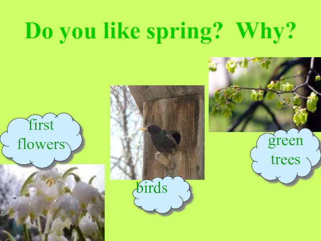 Do you like spring? Why? first flowers birds green trees