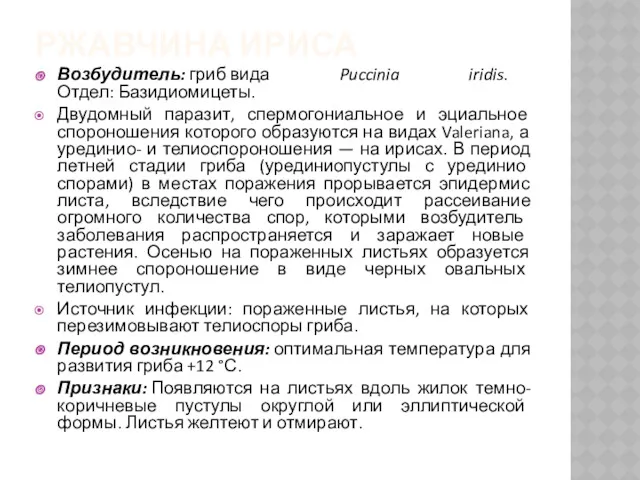 РЖАВЧИНА ИРИСА Возбудитель: гриб вида Puccinia iridis. Отдел: Базидиомицеты. Двудомный