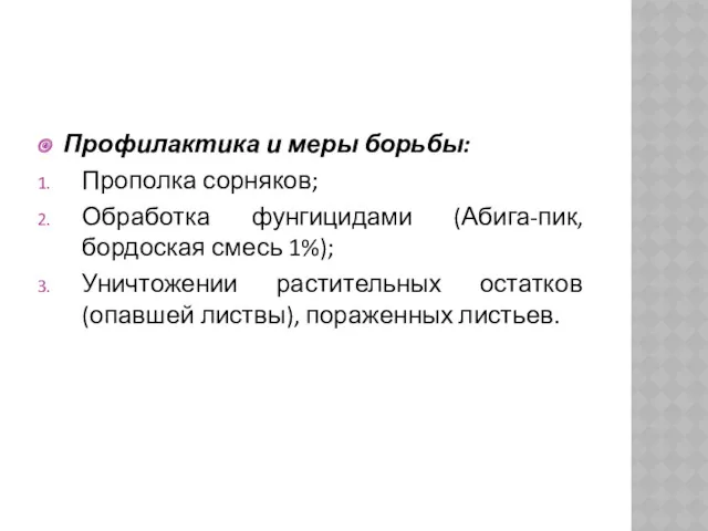 Профилактика и меры борьбы: Прополка сорняков; Обработка фунгицидами (Абига-пик, бордоская