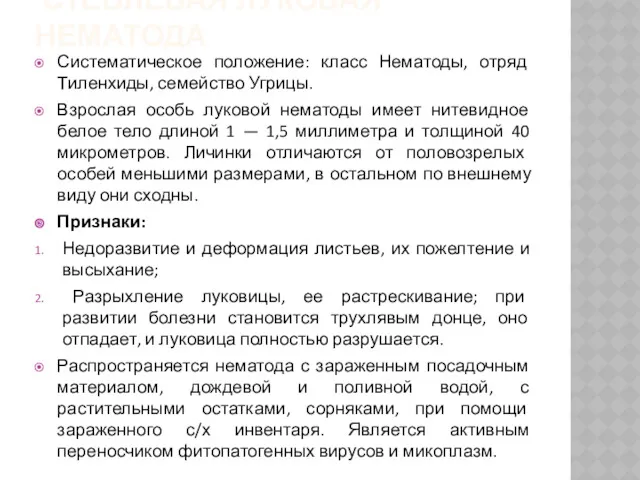 СТЕБЛЕВАЯ ЛУКОВАЯ НЕМАТОДА Систематическое положение: класс Нематоды, отряд Тиленхиды, семейство