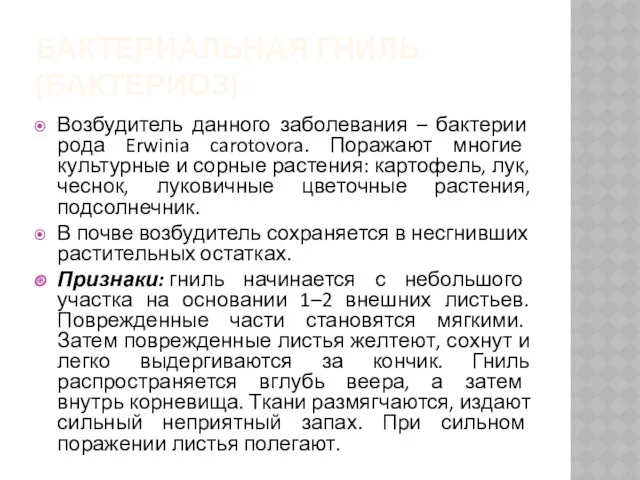 БАКТЕРИАЛЬНАЯ ГНИЛЬ (БАКТЕРИОЗ) Возбудитель данного заболевания – бактерии рода Erwinia