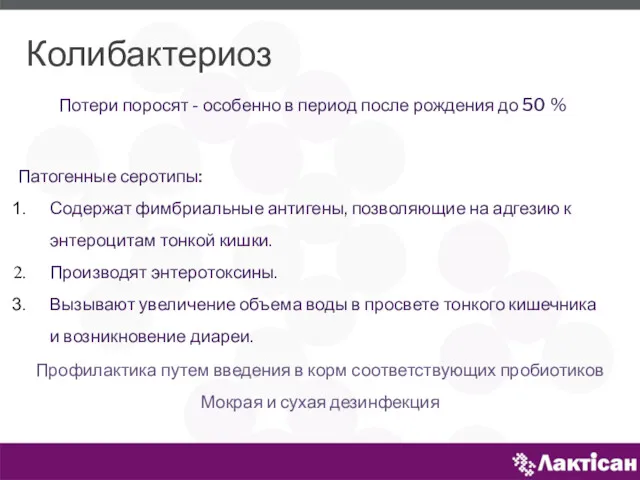 Колибактериоз Патогенные серотипы: Содержат фимбриальные антигены, позволяющие на адгезию к