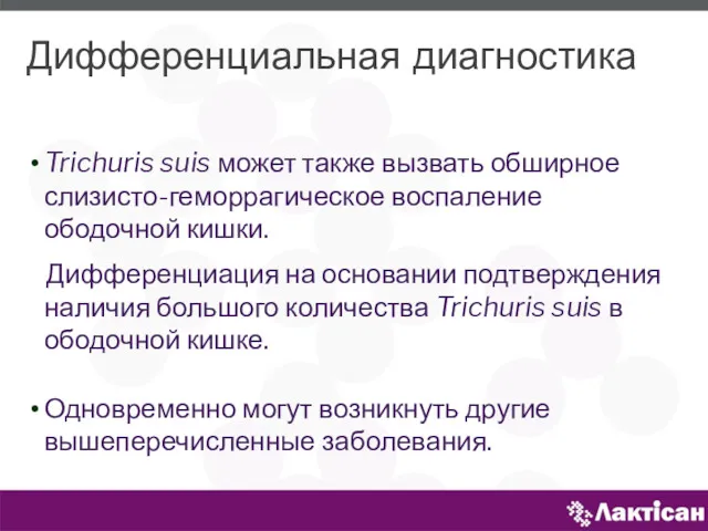 Trichuris suis может также вызвать обширное слизисто-геморрагическое воспаление ободочной кишки.