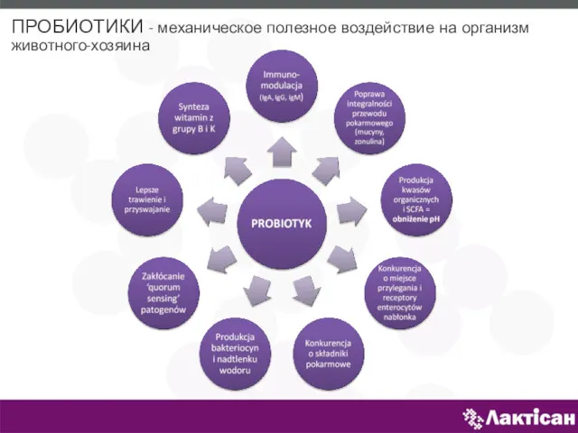 ПРОБИОТИКИ - механическое полезное воздействие на организм животного-хозяина