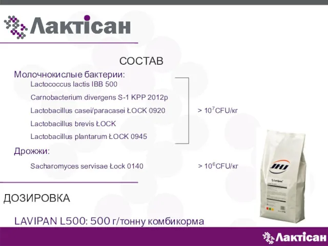 СОСТАВ Молочнокислые бактерии: Lactococcus lactis IBB 500 Carnobacterium divergens S-1