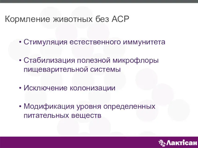 Кормление животных без АСР Стимуляция естественного иммунитета Стабилизация полезной микрофлоры