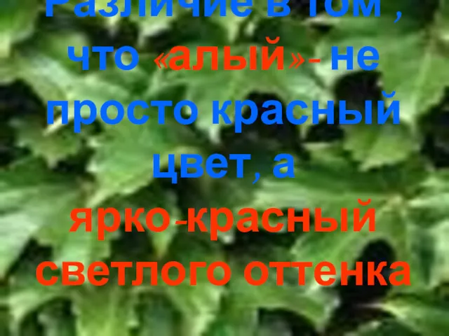 Различие в том , что «алый»- не просто красный цвет, а ярко-красный светлого оттенка