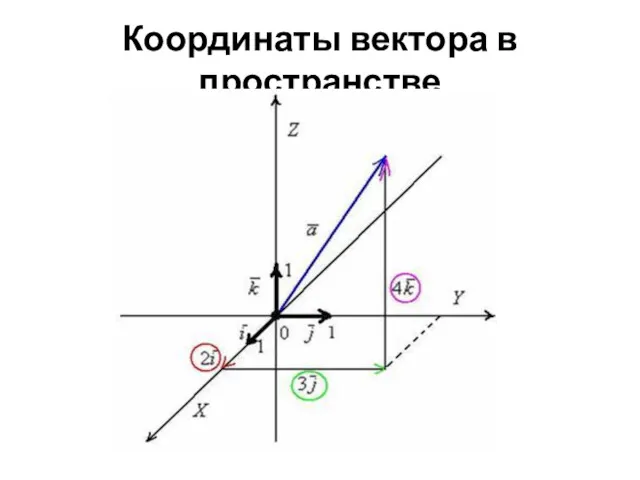 Координаты вектора в пространстве