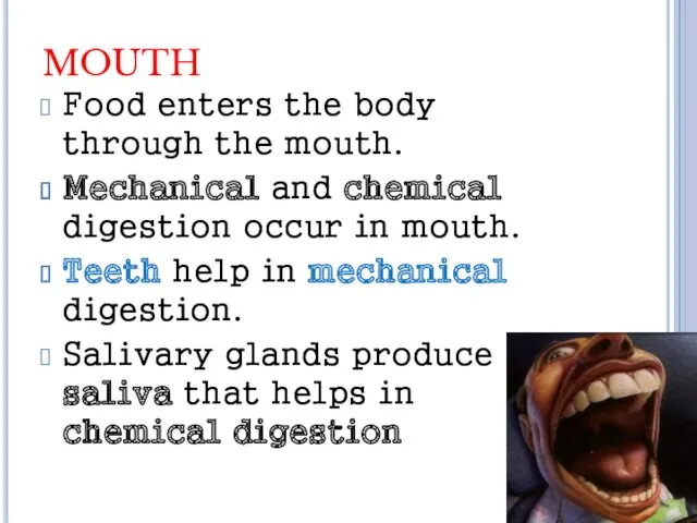 MOUTH Food enters the body through the mouth. Mechanical and