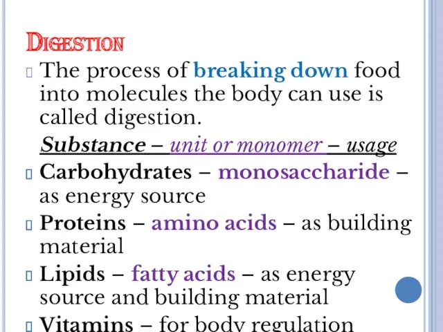 Digestion The process of breaking down food into molecules the