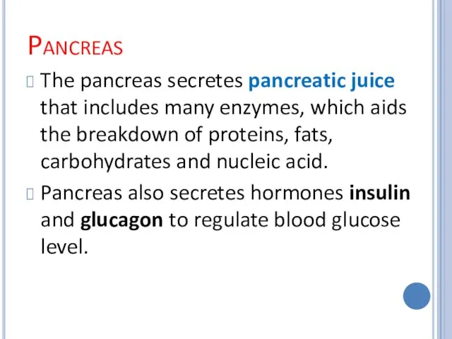 Pancreas The pancreas secretes pancreatic juice that includes many enzymes,