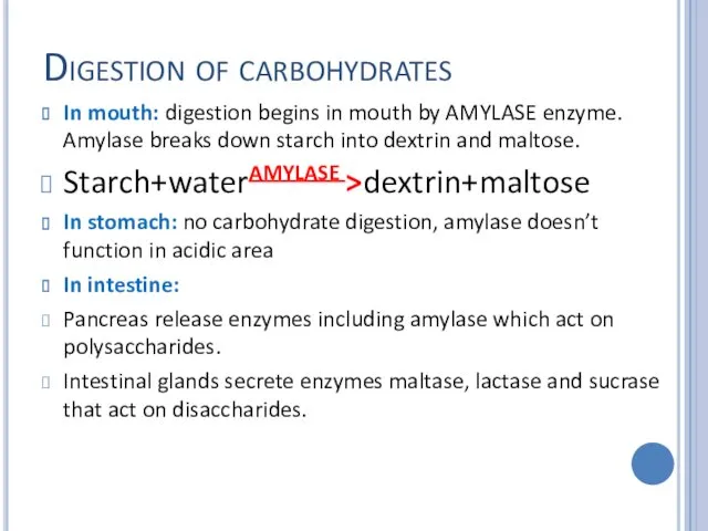Digestion of carbohydrates In mouth: digestion begins in mouth by