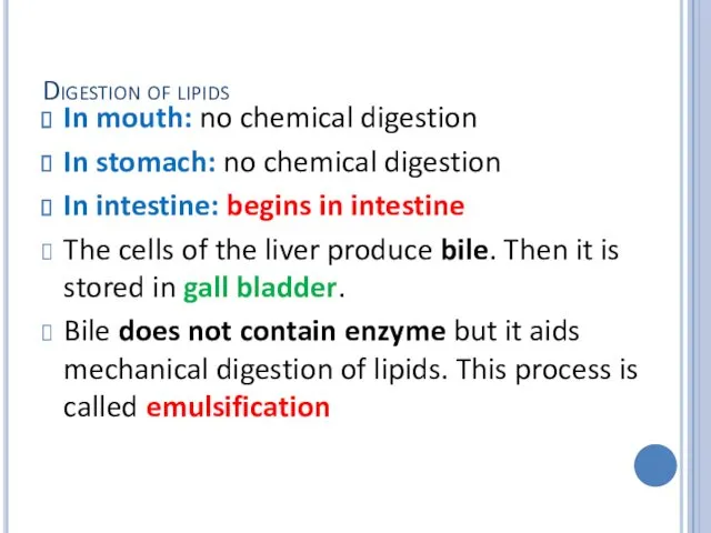 Digestion of lipids In mouth: no chemical digestion In stomach: