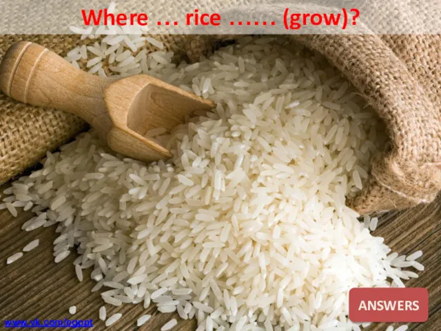 Where … rice …… (grow)? ANSWERS www.vk.com/egppt