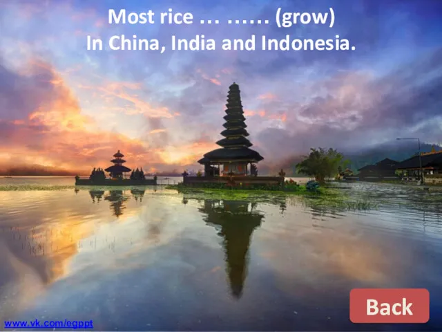 Most rice … …… (grow) In China, India and Indonesia. Back www.vk.com/egppt