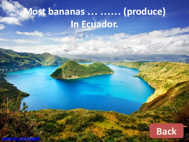 Most bananas … …… (produce) In Ecuador. Back www.vk.com/egppt