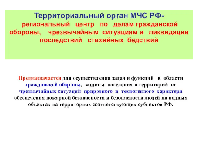 Территориальный орган МЧС РФ- региональный центр по делам гражданской обороны, чрезвычайным ситуациям и
