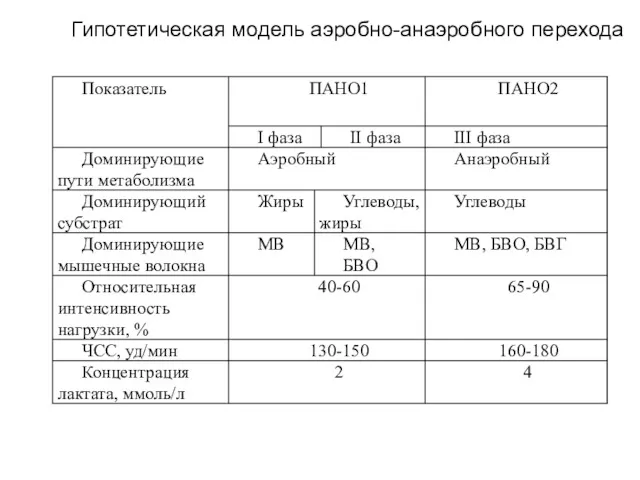 Гипотетическая модель аэробно-анаэробного перехода