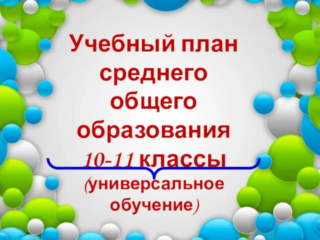 Учебный план среднего общего образования 10-11 классы (универсальное обучение)