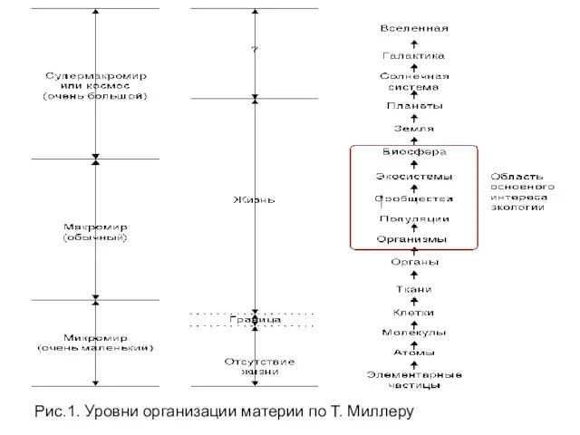 Рис.1. Уровни организации материи по Т. Миллеру