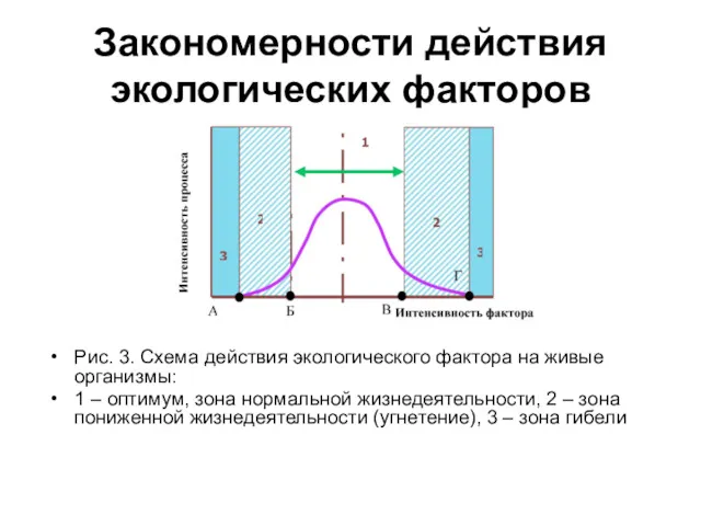 Закономерности действия экологических факторов Рис. 3. Схема действия экологического фактора