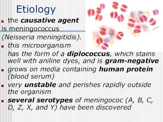 Etiology the causative agent is meningococcus (Neisseria meningitidis). this microorganism