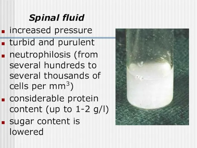 Spinal fluid increased pressure turbid and purulent neutrophilosis (from several