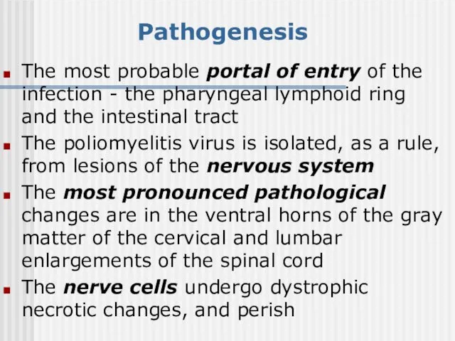 Pathogenesis The most probable portal of entry of the infection