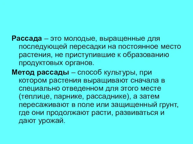 Рассада – это молодые, выращенные для последующей пересадки на постоянное