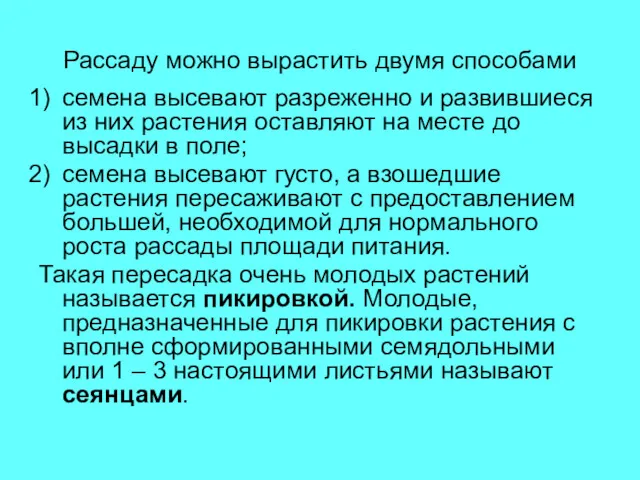 Рассаду можно вырастить двумя способами семена высевают разреженно и развившиеся