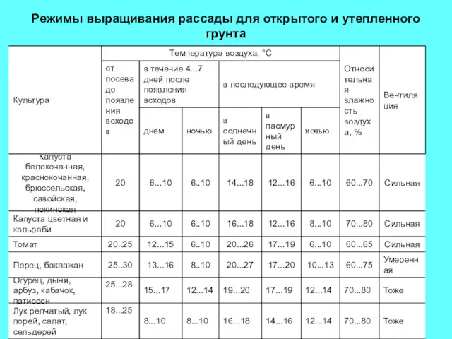 Режимы выращивания рассады для открытого и утепленного грунта