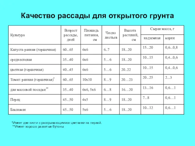 Качество рассады для открытого грунта *Имеет две кисти с раскрывающимися