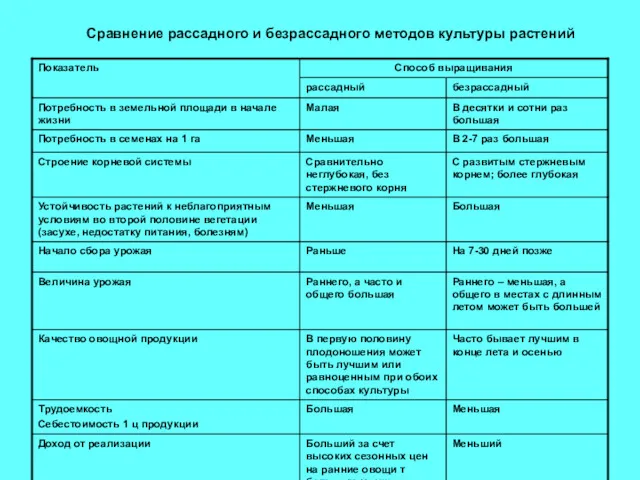 Сравнение рассадного и безрассадного методов культуры растений