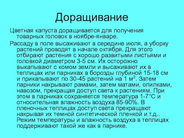 Доращивание Цветная капуста доращивается для получения товарных головок в ноябре-январе.