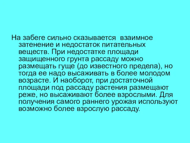 На забеге сильно сказывается взаимное затенение и недостаток питательных веществ.