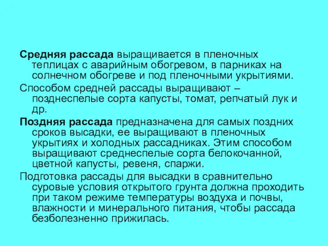 Средняя рассада выращивается в пленочных теплицах с аварийным обогревом, в