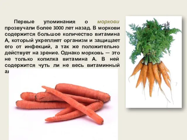 Первые упоминания о моркови прозвучали более 3000 лет назад. В