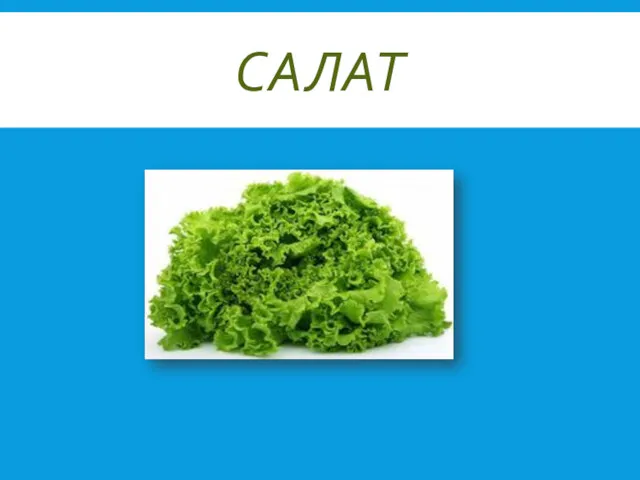 САЛАТ