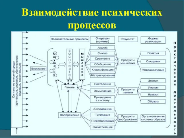 Взаимодействие психических процессов