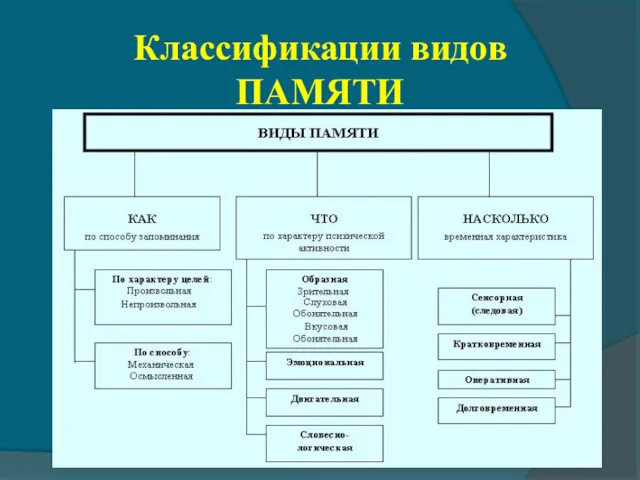 Классификации видов ПАМЯТИ