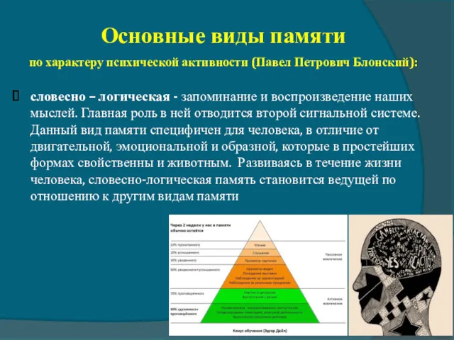 Основные виды памяти по характеру психической активности (Павел Петрович Блонский):