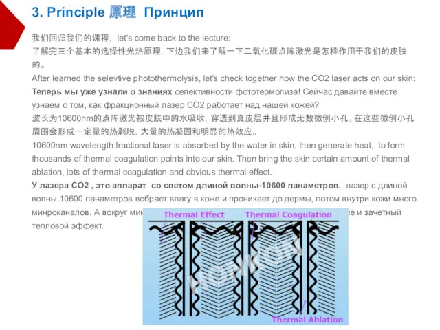 我们回归我们的课程， let's come back to the lecture: 了解完三个基本的选择性光热原理，下边我们来了解一下二氧化碳点阵激光是怎样作用于我们的皮肤的。 After learned